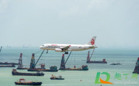 青岛流亭机场近半航班取消是真的吗1