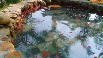 忻州奇村温泉堪称世界四大温泉之一，发现者却是一位老农民？