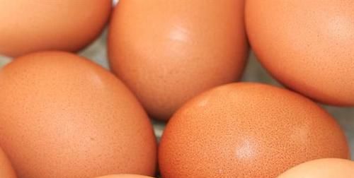 鸡蛋壳可以补钙吗?怎么吃