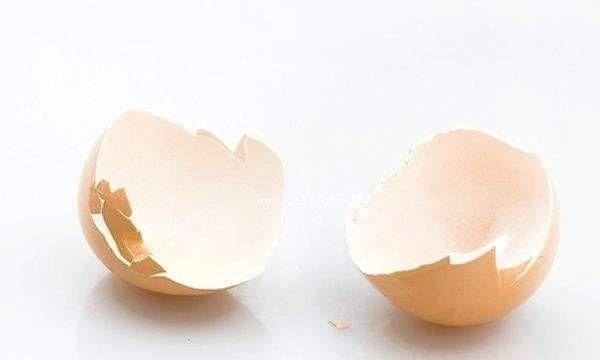 鸡蛋壳可以吃吗?怎么做