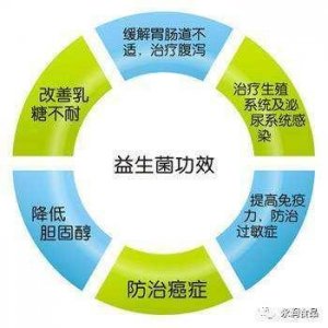 ​安全抗过敏——关于欣敏康益生菌的终极说明