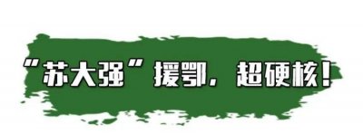 ​硬核是什么意思,硬核推理和本格推理的区别