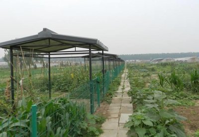 ​田园综合体概述