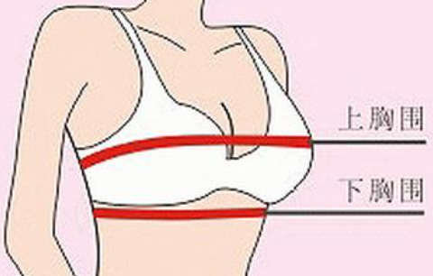 胸罩尺寸abcd怎么分,如何挑选胸罩尺寸图4