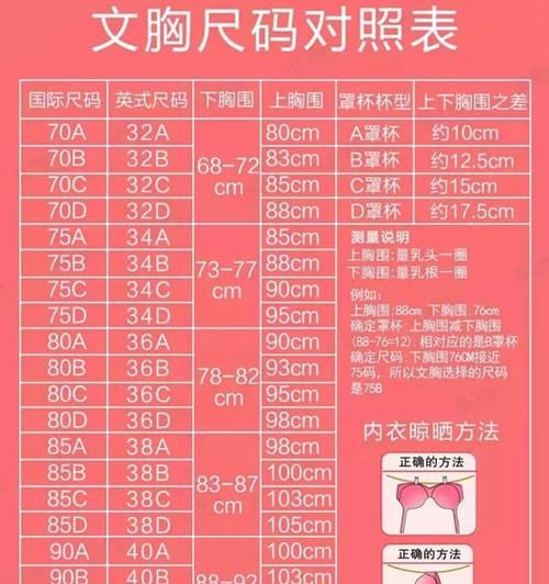 胸围abcd如何区分图片