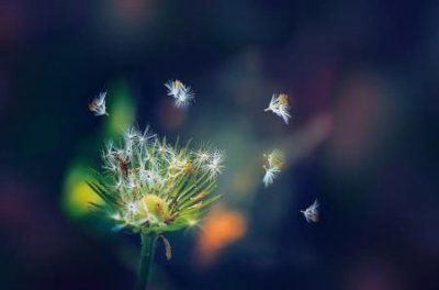 ​车上一般放哪些平常用品车上用品