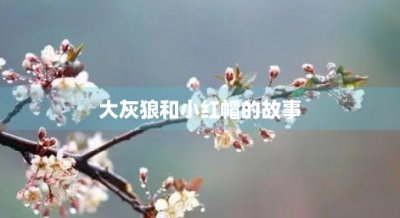 ​大灰狼和小红帽的故事(大灰狼和小红帽的故事100字)