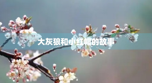 大灰狼睡前大灰狼和小红帽在线的讲七只故事