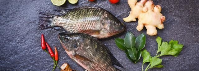 吃不完的鱼放在冰箱里隔夜可以吃吗