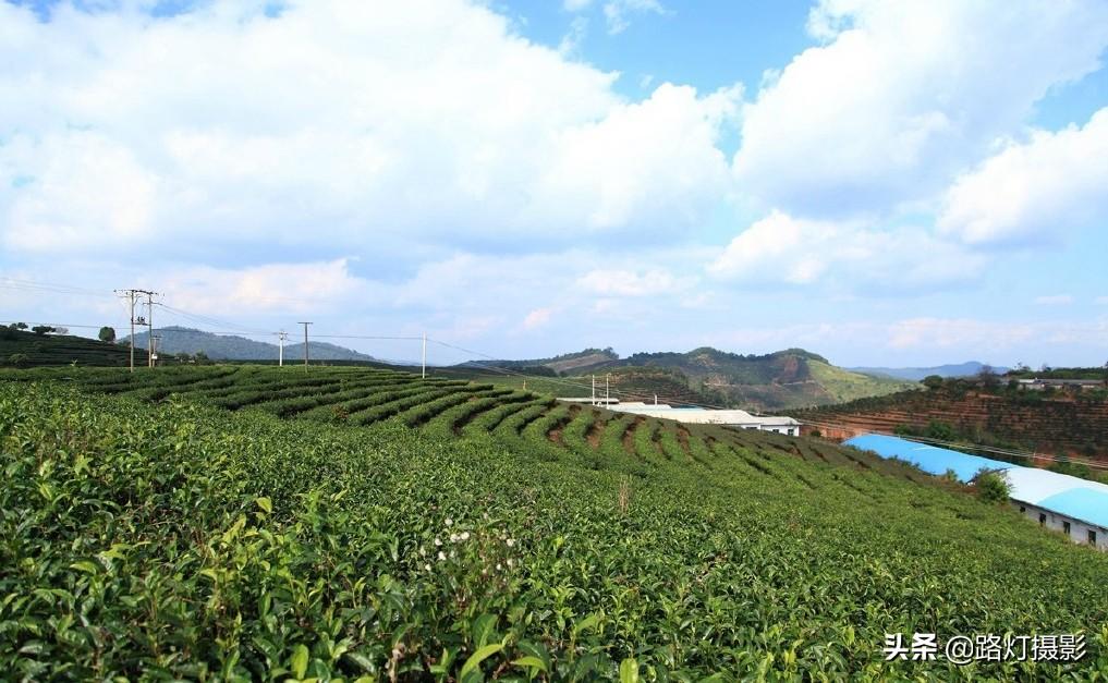 普洱是哪个地方的城市（普洱是哪个省哪个市的城市）