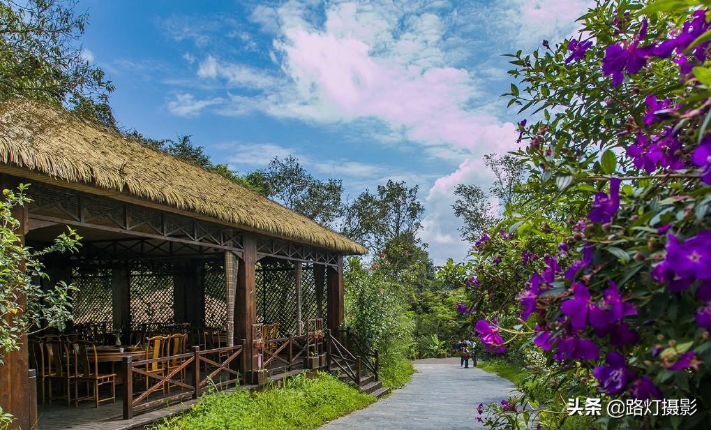 普洱是哪个地方的城市（普洱是哪个省哪个市的城市）