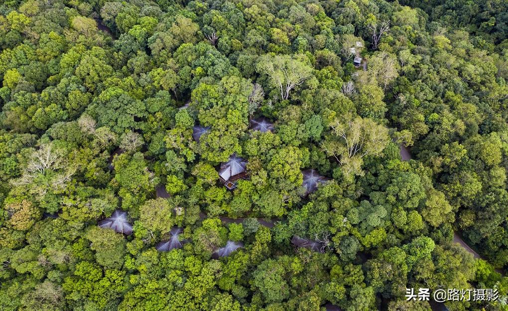 普洱是哪个地方的城市（普洱是哪个省哪个市的城市）