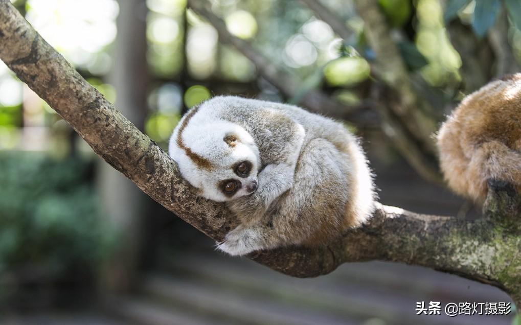 普洱是哪个地方的城市（普洱是哪个省哪个市的城市）