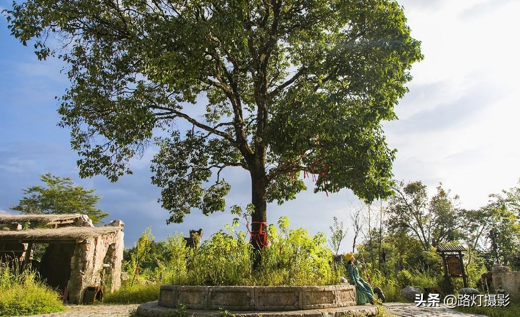 普洱是哪个地方的城市（普洱是哪个省哪个市的城市）