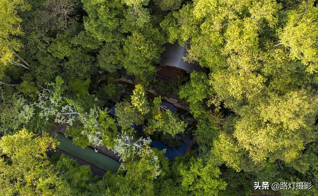 普洱是哪个地方的城市（普洱是哪个省哪个市的城市）