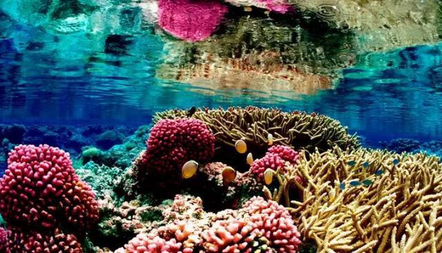 马来西亚岛屿，棉花岛平安岛，这些美丽的岛屿，很少人知道！