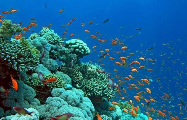 马来西亚岛屿，棉花岛平安岛，这些美丽的岛屿，很少人知道！