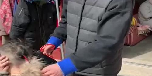 小孩十二岁留的辫子应该怎么剪