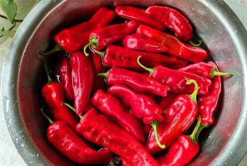怎么洗辣椒可以让手不辣呢