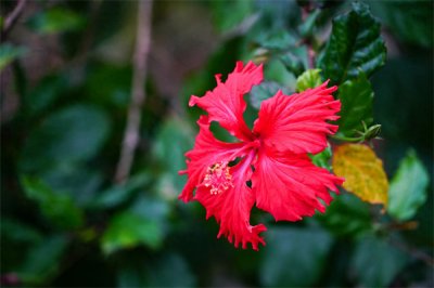 ​暗恋对方他能感觉到吗(怎么确定你暗恋的人也喜欢你)