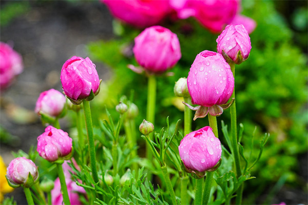 暗恋对方他能感觉到吗(怎么确定你暗恋的人也喜欢你)