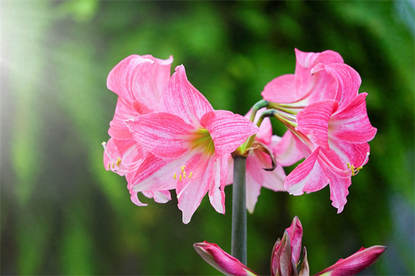 暗恋对方他能感觉到吗(怎么确定你暗恋的人也喜欢你)