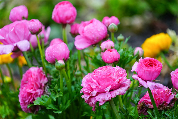 暗恋对方他能感觉到吗(怎么确定你暗恋的人也喜欢你)