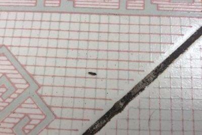 ​面粉里的小黑虫有毒,面粉有黑色虫子还能吃吗