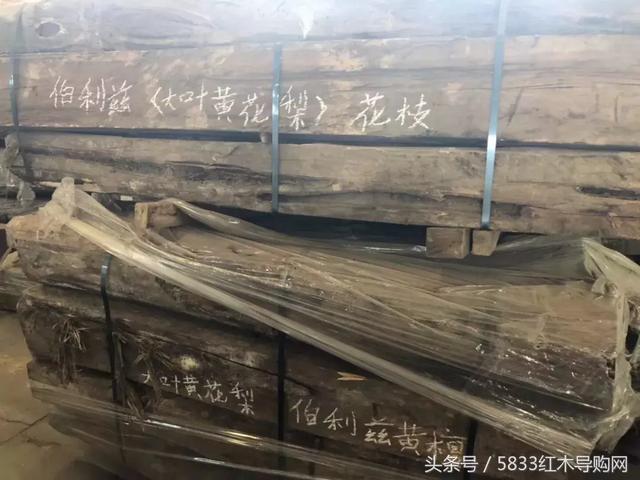 伯利兹黄檀跟缅甸黄花梨(大叶黄花梨卷土重来)(4)