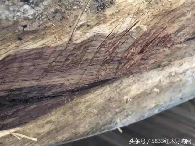 伯利兹黄檀跟缅甸黄花梨(大叶黄花梨卷土重来)(5)