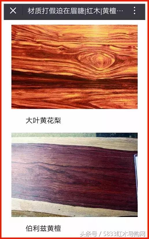 伯利兹黄檀跟缅甸黄花梨(大叶黄花梨卷土重来)(2)
