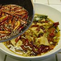 正宗川菜水煮鱼菜谱(最上瘾的绝味川菜--水煮鱼)(15)