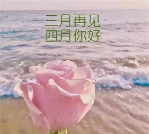 四月大风的唯美句子