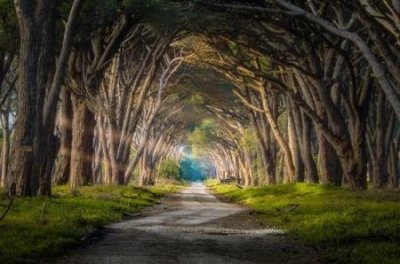 ​北京师范大学诡异事件合集，宿舍楼装镜子为驱赶不干净东西