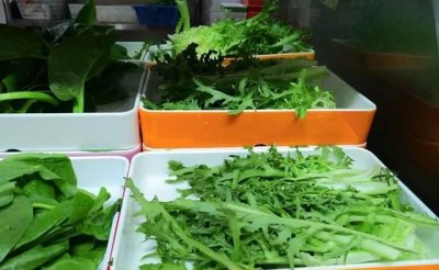 ​吃火锅都吃什么菜，吃火锅必备的菜，吃火锅点什么菜好？