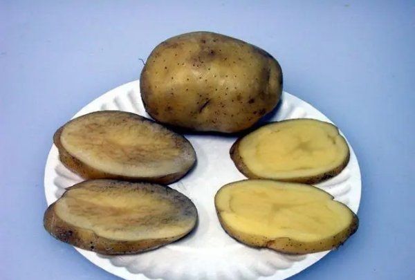 土豆削皮后发黑可以吃,土豆削皮后发黑可以吃吗图3
