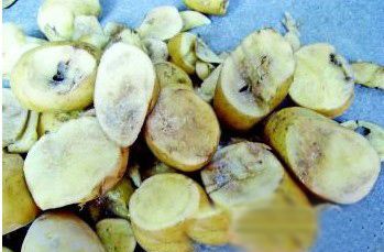 土豆打皮后发现里面黑了还能吃吗