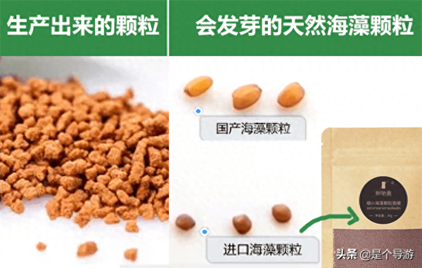 海藻面膜是智商税吗(海藻面膜真的有用吗)