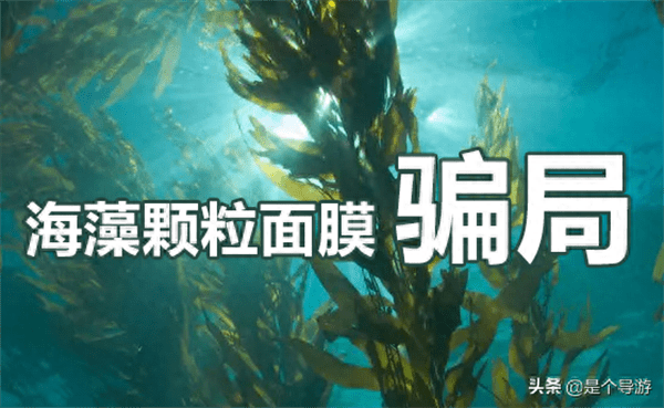海藻面膜是智商税吗(海藻面膜真的有用吗)