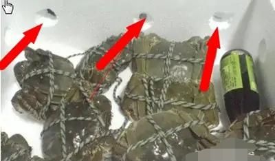 螃蟹如何区分休眠和死,说有一种喷剂可以让螃蟹休眠?图4