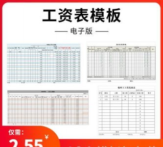 ​员工工资表格式,工资条应该怎么写