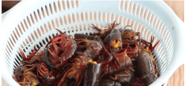 剥好的龙虾肉怎么做好吃,剥壳的小龙虾怎么做好吃图2