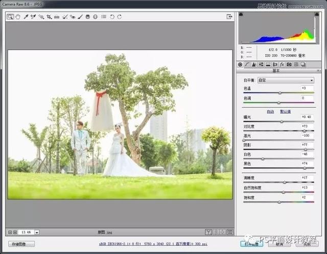 婚纱照ps修图教程背面（打造室外婚纱写真照）(3)