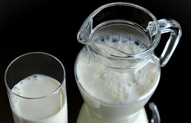 骆驼奶的功效和作用，骆驼奶粉和牛奶粉的功效和作用？图3