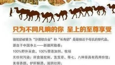 ​骆驼奶的功效和作用，骆驼奶粉和牛奶粉的功效和作用？