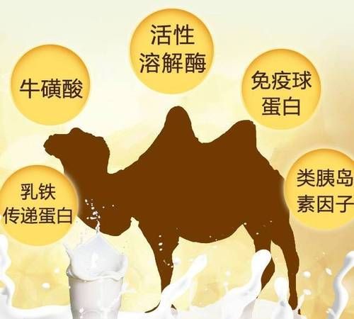 淳驼驼奶有什么功效和作用