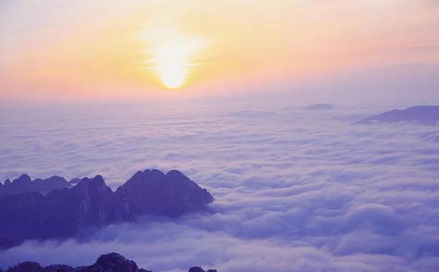 生命中不可承受之轻怎样理解（生命中不能承受之轻）(5)