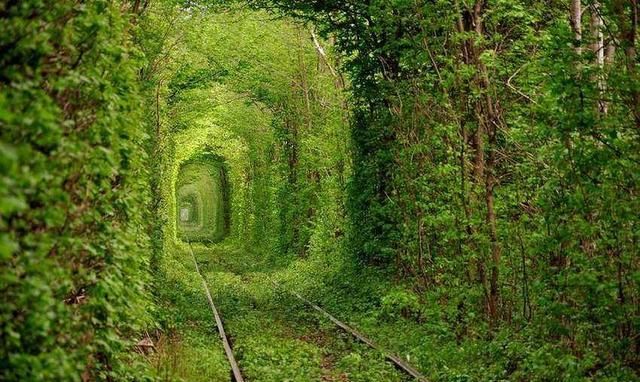 感恩爸爸的句子简短,感恩父亲的暖心句子短20字?图5