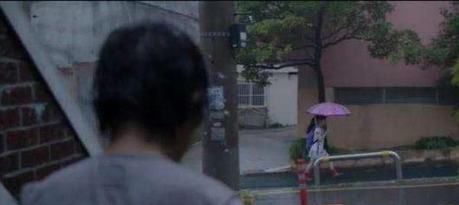 心素若兰是什么意思