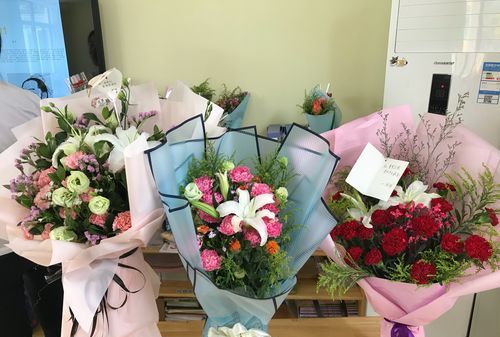 初一新生教师节送什么花